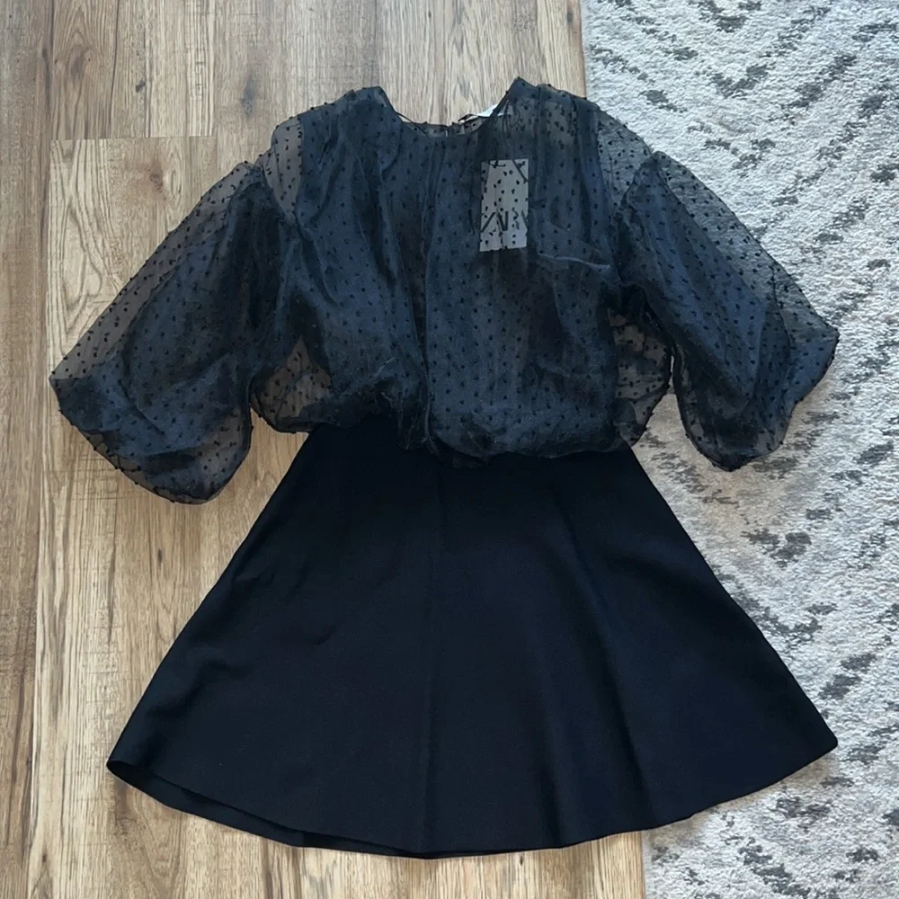 NEW! Zara Dotted Mesh Sleeve Dress - Picture 3 of 9